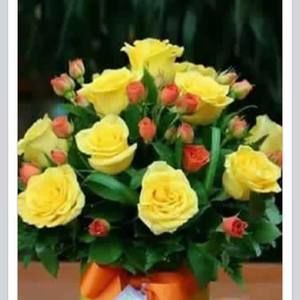 Meet your Posher, Priscilla